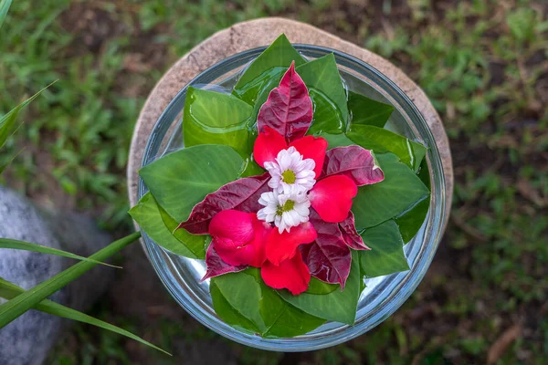 Wazon Jest Wypełniony Wodą Ozdobiony Zielonymi Liśćmi Pięknymi Kwiatami Tropikalnym — Zdjęcie stockowe