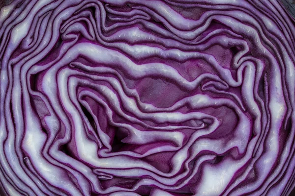 Background Blue Cabbage Cut Macro Photography Close Top View Texture — Stock Photo, Image