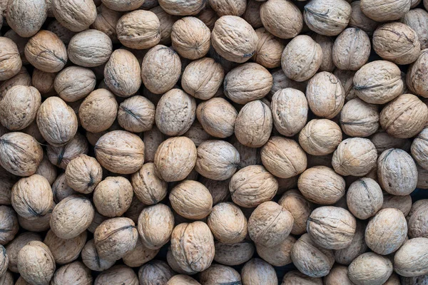 Přírodní Ořechy Pozadí Vzor Textura Abstraktní Vlašské Ořechy Haldy Vzor — Stock fotografie