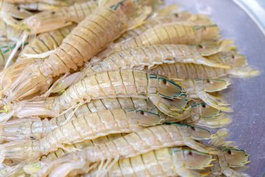 Tayland 'daki sokak pazarında taze deniz karidesleri. Deniz ürünleri konsepti. Pişirmek için çiğ karides, yakın çekim.