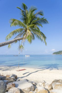 Koh Phangan, Tayland 'daki mavi deniz suyunun yakınındaki kumsal üzerinde hindistan cevizi palmiyesinden sallanan salıncak. Yaz, seyahat, tatil ve tatil konsepti