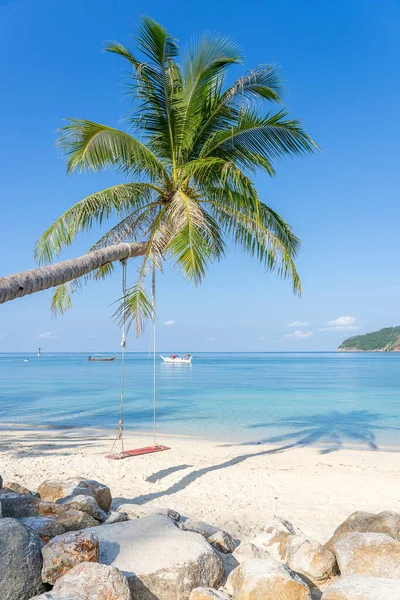 Huśtawka Wisi Palmie Kokosowej Nad Piaszczystą Plażą Pobliżu Błękitnej Wody — Zdjęcie stockowe
