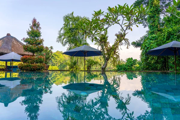 Vista Piscina Jardín Tropical Por Mañana Amanecer Ubud Bali Indonesia — Foto de Stock