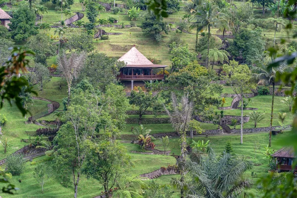 ジャングル 熱帯雨林と山 ウブド バリ島 インドネシア ショットを確立でパノラマビューを持つ伝統的なバリの家 — ストック写真