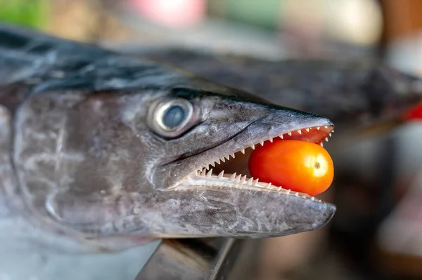 Fechar Dentes Barracuda Com Tomate Vermelho Mar Peixe Fresco Barracuda — Fotografia de Stock