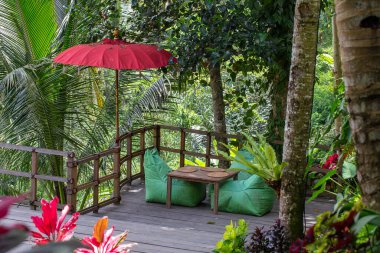 Endonezya 'nın Bali Adası' nda güneşli bir günde, pirinç teraslarının yakınında yeşil yapraklar ve dinlenme alanı. Doğa ve seyahat kavramı