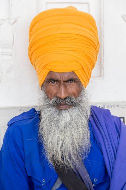 Turuncu sarıklı, gür sakallı Hintli sih adamın portresi. Amritsar, Hindistan. Kapat.