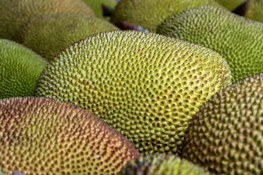 Malezya 'nın Borneo adasında, Kota Kinabalu' da yerel sokak pazarında çiğ meyve satılıyor. Tropik meyve, yaklaş.