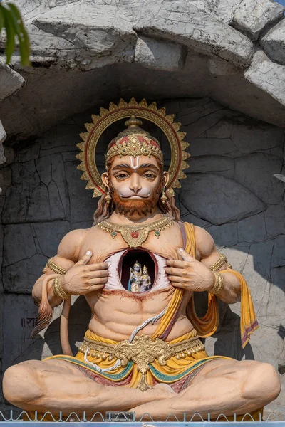 Hanuman statue, Hindu idol near Ganges River, Rishikesh, India. Sacred places for pilgrims. Statue that portray Lord Hanuman tear open his chest and reveal Lord Rama and Sita inside it, in heart