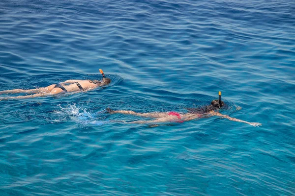 エジプトのシャルム シェイクの紅海のサンゴ礁の上の青い澄んだ海でシュノーケリングをしている若い女の子 旅行やライフスタイルの概念 最上階だ 2人のスノーケル選手がターコイズブルーの水で泳ぐ — ストック写真