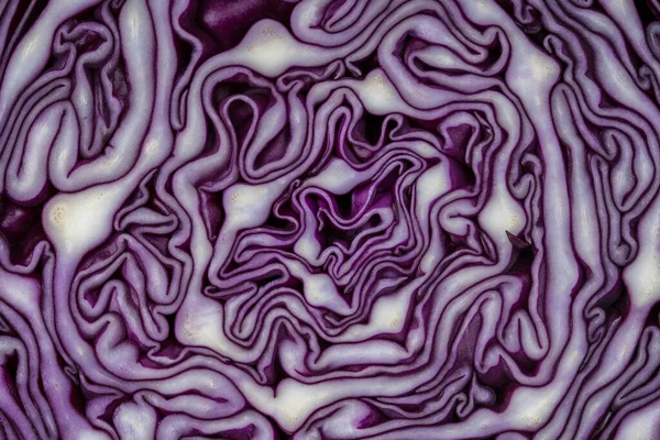 Background Blue Cabbage Cut Macro Photography Close Top View Texture — Stock Photo, Image