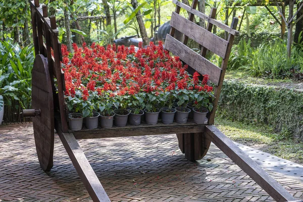 Blumentöpfe Mit Roten Blumen Auf Einem Holzwagen Einem Tropischen Garten — Stockfoto