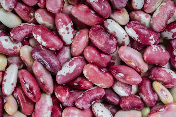 Bakgrund Många Korn Torkade Bönor Röda Bönor Matbakgrund Närbild Bönor — Stockfoto