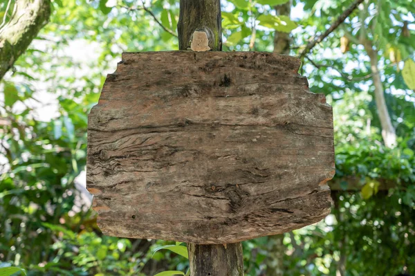 Pusta Drewniana Deska Tekstu Dżungli Tropikalnej Wyspy Bali Indonezja Zamknij — Zdjęcie stockowe