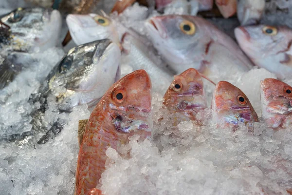 Roher Fisch Auf Eis Der Auf Dem Wochenmarkt Verkauft Wird — Stockfoto