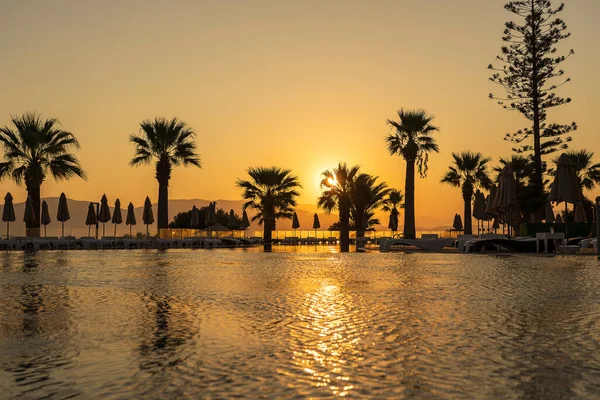 Kouzelný Východ Slunce Siluetou Kokosové Palmy Bazénem Luxusním Hotelovém Resortu — Stock fotografie