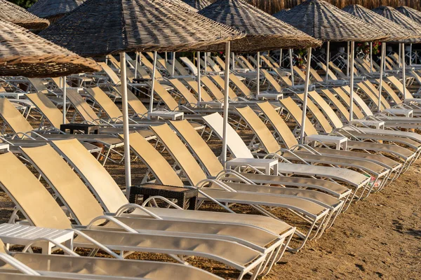 Lettini Ombrelloni Vuoti Mattino Riva Mare Spiaggia Sabbia Resort Lusso — Foto Stock