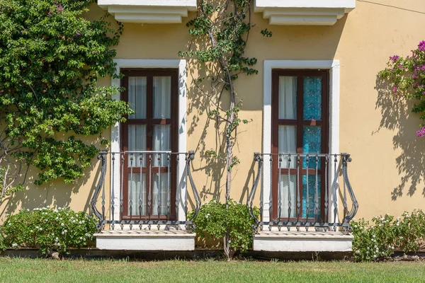 Windows Balcony Building Facade Cast Iron Ornaments Flower Tree Wall — Stock Photo, Image