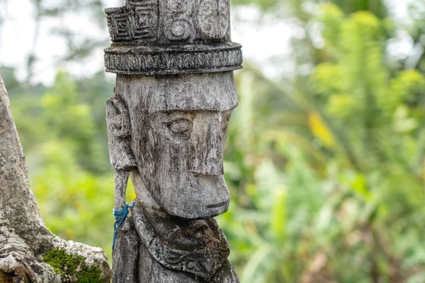 Balinesisk Antik Trästaty Gatan Ubud Bali Indonesien Gudarnas Figurer Skyddar — Stockfoto