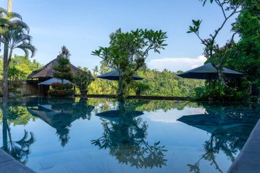 Sabahleyin Ubud, Bali, Endonezya 'daki tropikal bahçede yüzme havuzu manzarası.