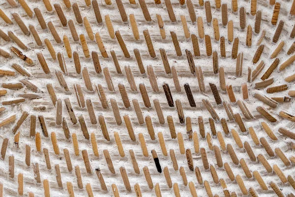 抽象装飾的な木製のテクスチャバスケット織り バスケットのテクスチャの背景を閉じます 要約天然ウィッカー水平背景またはテクスチャ — ストック写真
