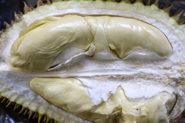 Taze kesilmiş Durian arka planı, Tayland 'ın meyve kralı, yakın plan.