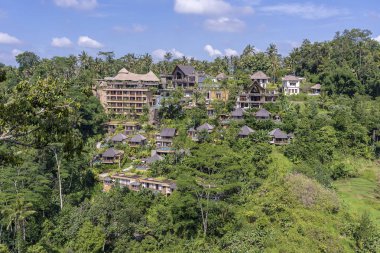 Orman, tropikal yağmur ormanı ve dağlar, Ubud, Bali Adası, Endonezya manzaralı geleneksel Balili evler