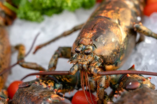 Sea Fresh Lobster Street Market Thailand Seafood Concept Raw Lobster — Stock Photo, Image