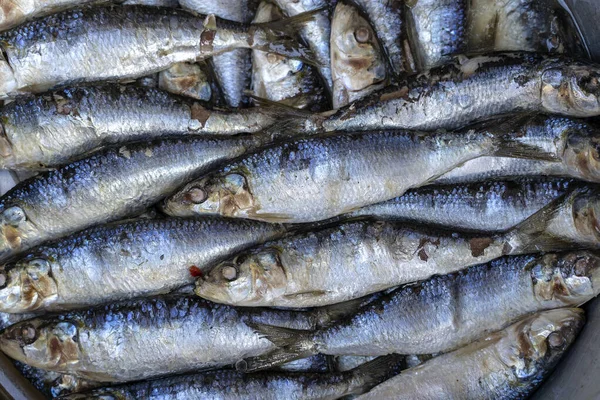 Gesalzener Meeresfisch Auf Dem Straßenmarkt Ubud Bali Indonesien Meeresfrüchte Roher — Stockfoto