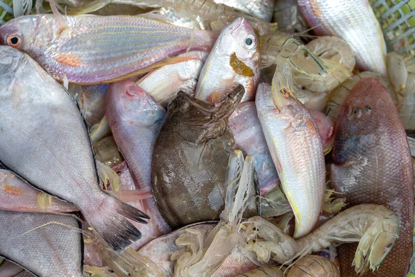 Gamberetti Freschi Mare Pesce Mercato Strada Thailandia Concetto Pesce Gamberi — Foto Stock