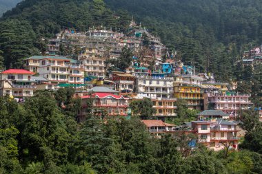 Hindistan 'ın Dharamsala kentindeki Himalaya dağlarında renkli evler ve yeşil bir çam ormanı. Arka planda çam ağaçları ve evler