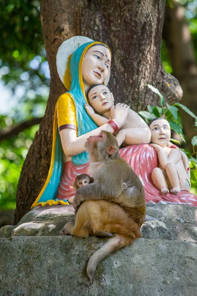 Mono Macaco Con Bebé Junto Una Estatua Virgen Los Niños — Foto de Stock