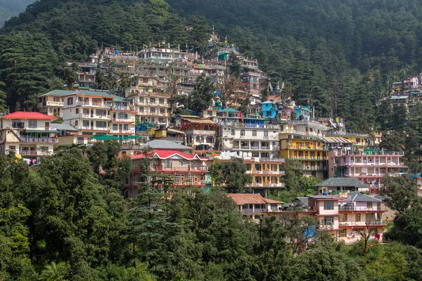 Πολύχρωμα Σπίτια Και Ένα Καταπράσινο Πευκοδάσος Στα Ιμαλάια Βουνά Στην — Φωτογραφία Αρχείου