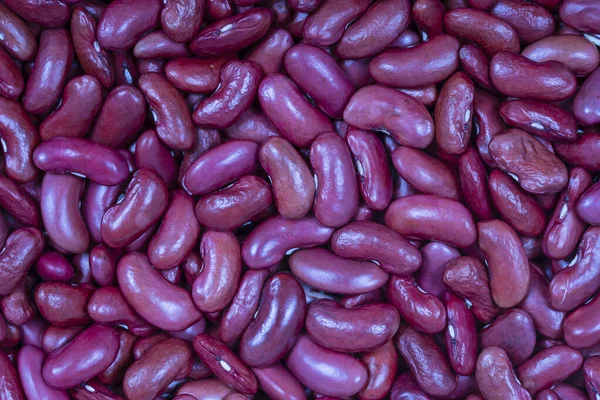 Antecedentes Muchos Granos Frijoles Secos Textura Frijoles Rojos Fondo Alimenticio —  Fotos de Stock