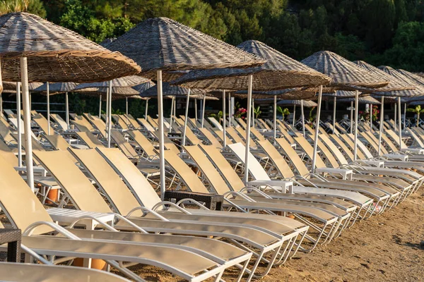 Lettini Ombrelloni Vuoti Mattino Riva Mare Spiaggia Sabbia Resort Lusso — Foto Stock