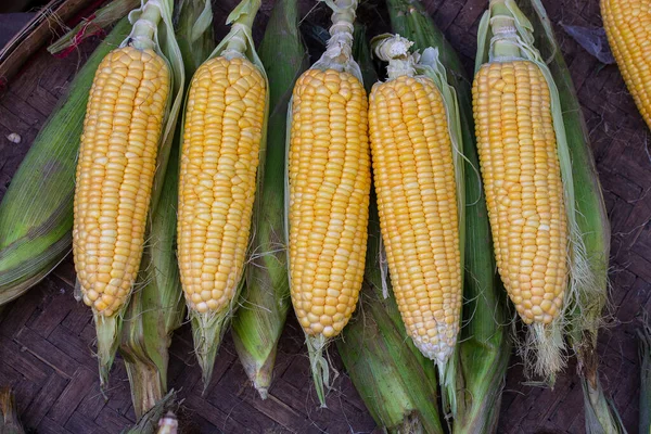 Biologischer Frischer Süßer Mais Zum Verkauf Auf Einem Lokalen Bauernmarkt — Stockfoto