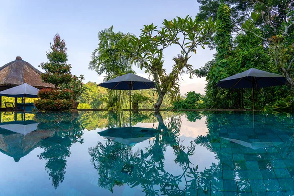 View Swimming Pool Tropical Garden Morning Sunrise Ubud Bali Indonesia — стоковое фото