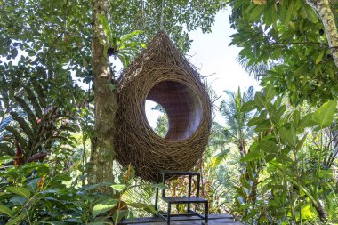 Bali, Endonezya 'daki pirinç teraslarının yakınındaki ormanda bir kuş yuvası dinlenme alanı. Doğa ve seyahat kavramı