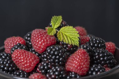 Taze organik böğürtlen ve ahududu arkaplanı. Bir sürü olgun, sulu, siyah arka planda çiğ meyve. Blackberry ve ahududu, yaklaşın.