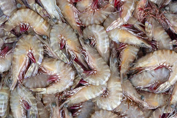 Meeresfrische Garnelen Auf Dem Straßenmarkt Thailand Meeresfrüchte Rohe Garnelen Zum — Stockfoto