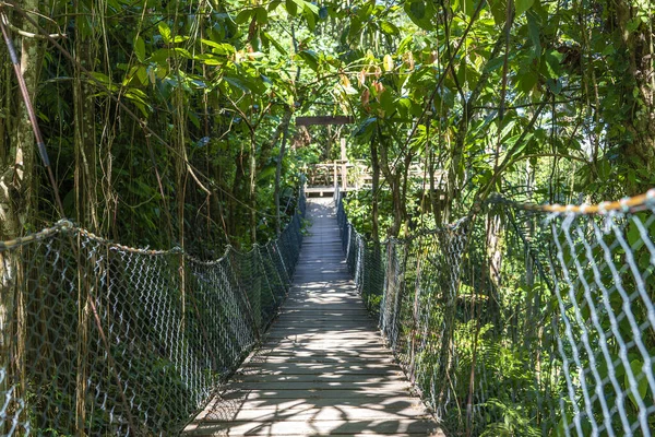 インドネシアのバリ島の棚田の近くのジャングルの吊り橋 自然と旅のコンセプト — ストック写真