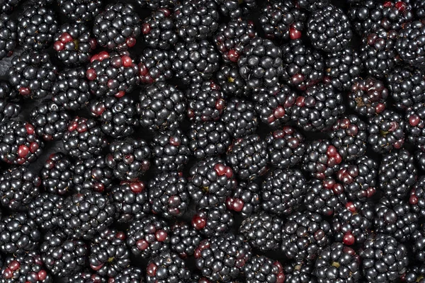 Hintergrund Aus Frischen Bio Brombeeren Hautnah Jede Menge Reife Saftige — Stockfoto