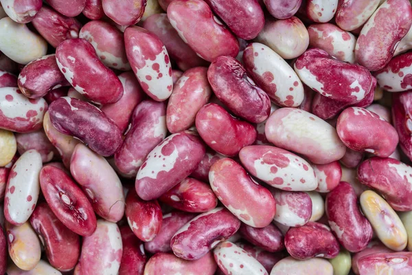 乾燥豆の多くの穀物の背景 小豆の食感 食べ物の背景 閉めろ 豆の背景と食感 トップ表示 — ストック写真