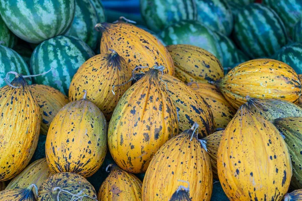 Wassermelone Und Melone Auf Einem Marktplatz Reife Saftige Melonen Und — Stockfoto