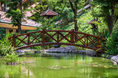 Danang, Vietnam 'daki bir Japon tropikal bahçesindeki dekoratif bir gölette kemerli köprü. Seyahat ve doğa kavramı