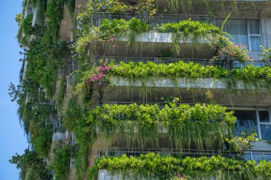 Vietnam 'da Danang şehrinin caddesindeki evin dış cephesinin taş duvarında yeşil bitkiler ve çiçekler olan ekolojik bir binanın ayrıntıları.