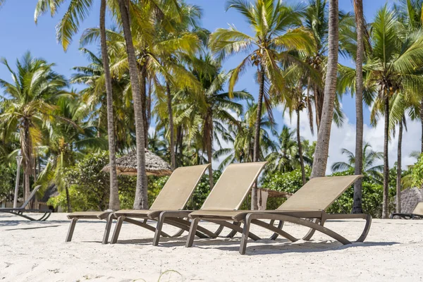Beach Loungers Coconut Palm Trees Tropical Coast Sea Island Zanzibar — Stock Photo, Image