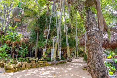 Bahçe yakınlarındaki kumsaldaki tropikal ağaçtan sallanan salıncak, Tayland 'daki Koh Phangan adası. Yaz, seyahat, tatil ve tatil konsepti