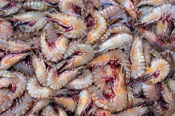 Meeresfrische Garnelen Auf Dem Straßenmarkt Thailand Meeresfrüchte Rohe Garnelen Zum — Stockfoto