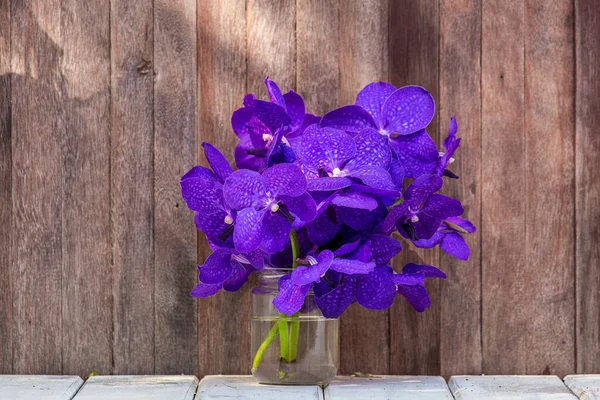 Schöner Strauß Von Orchideen Blühen Zarte Rosa Orchideenblüten Aus Nächster — Stockfoto